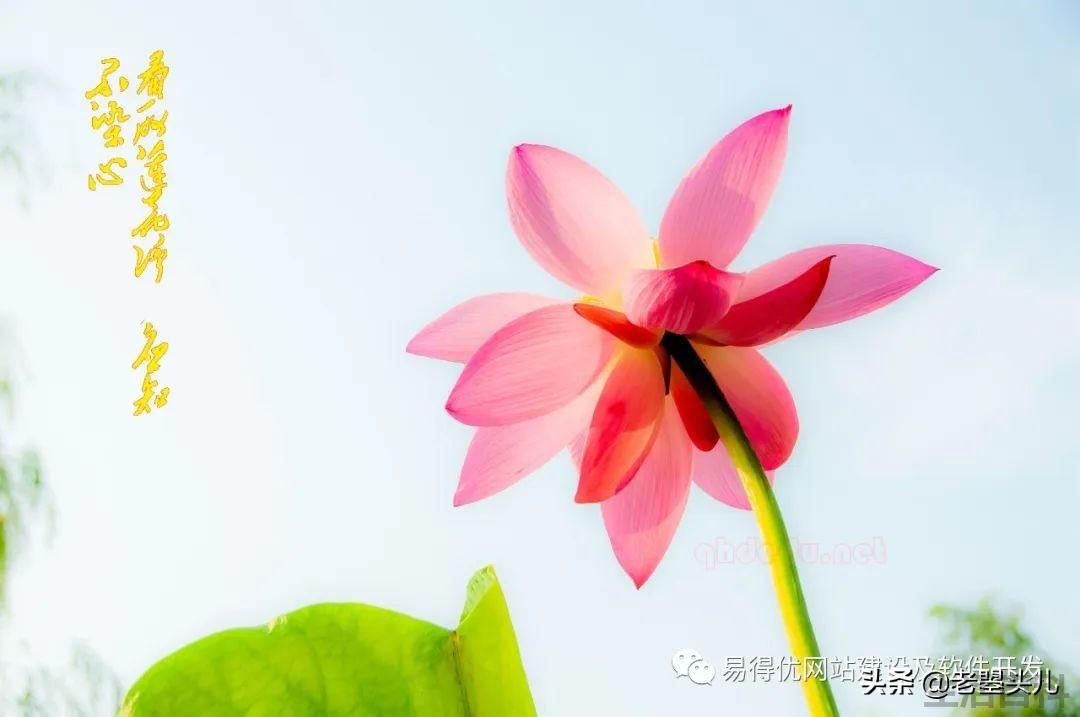 2023年什么时候入伏