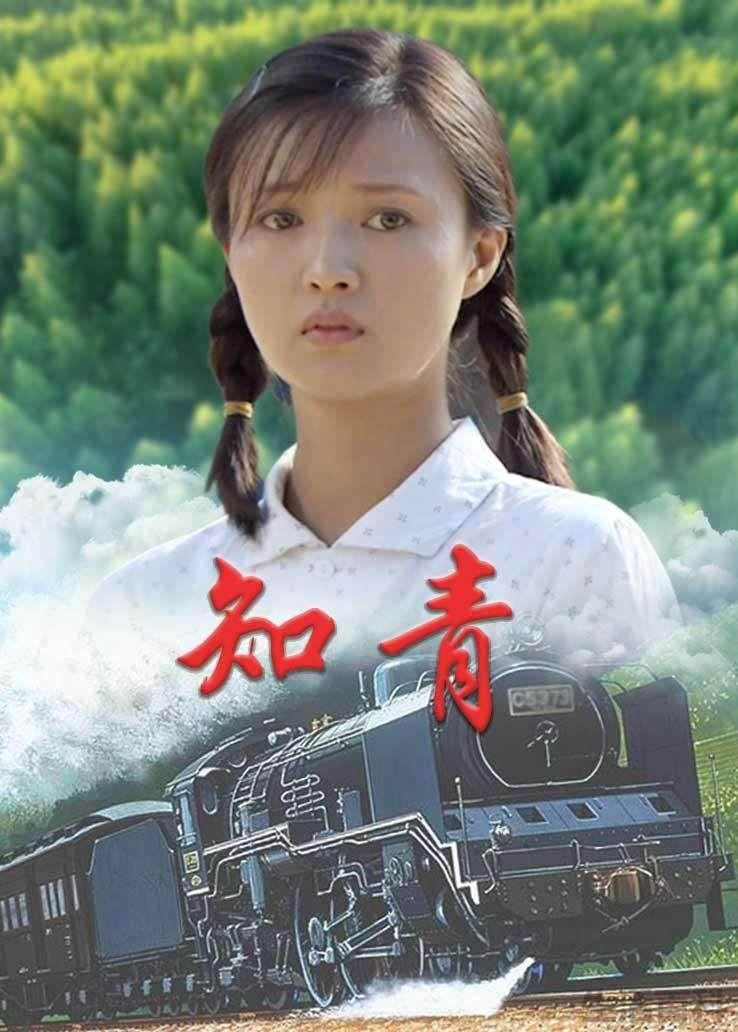 收视率最高的知青电视剧