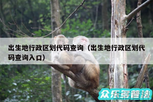出生地行政区划代码查询入口