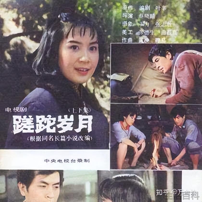 收视率最高的知青电视剧