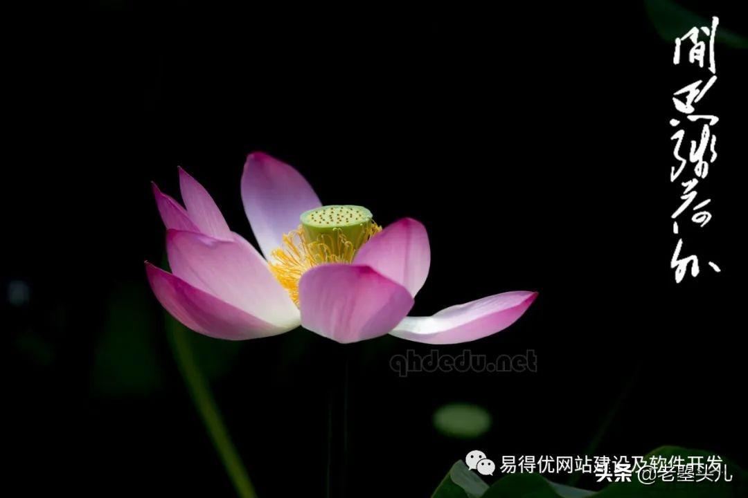2023年什么时候入伏