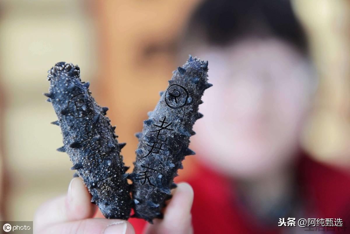怎么样挑选优质海参
