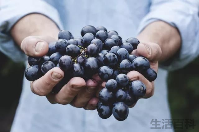 自酿葡萄酒的危害有哪些