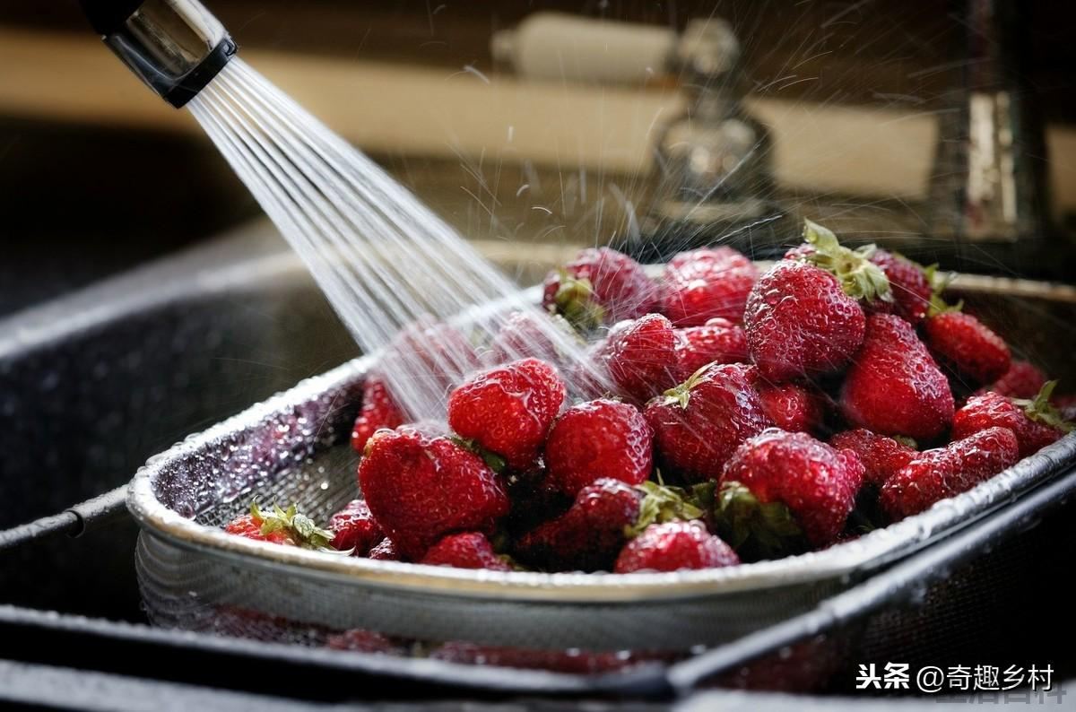 草莓是什么季节的水果
