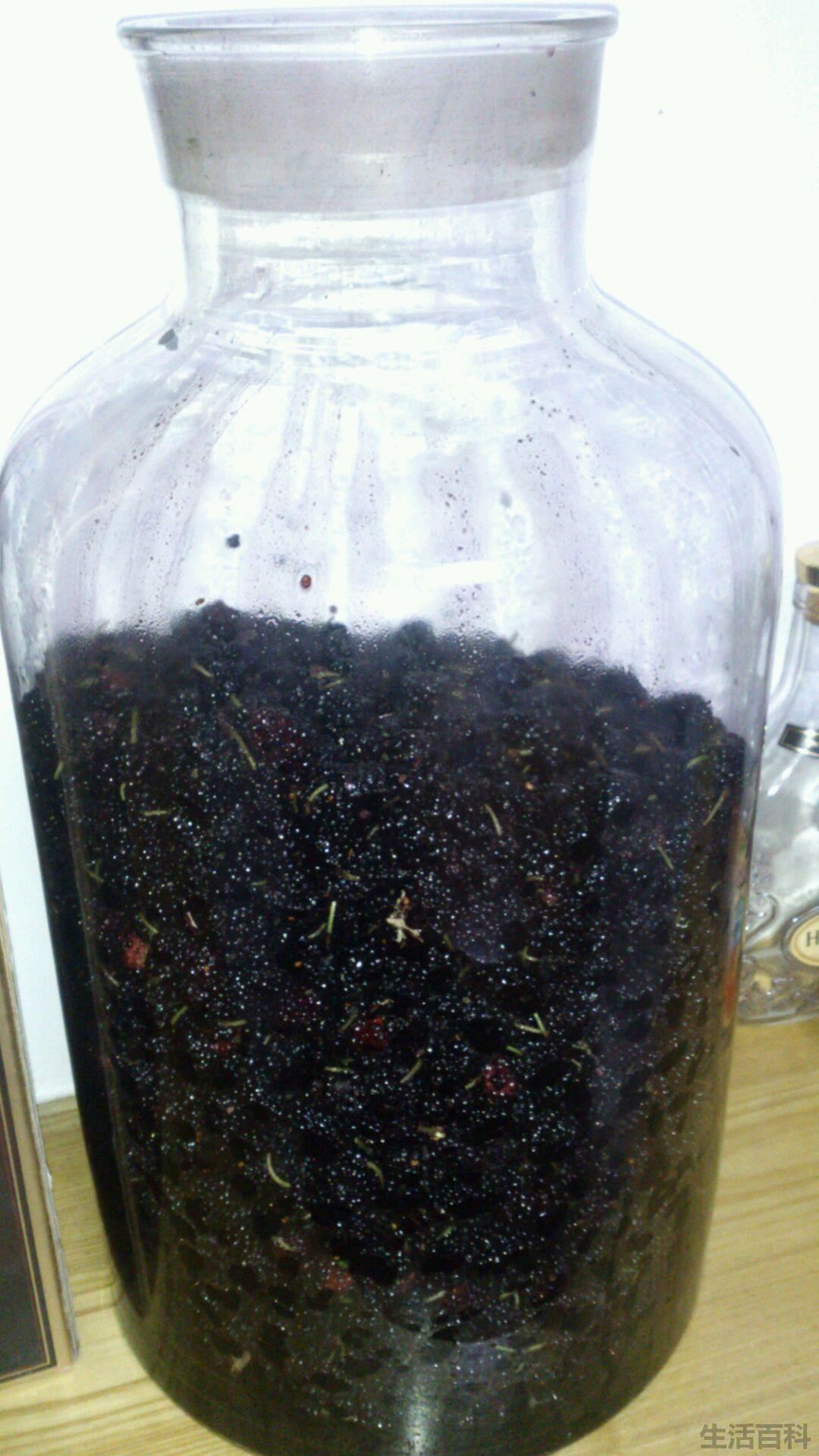 怎样自制桑葚果酒