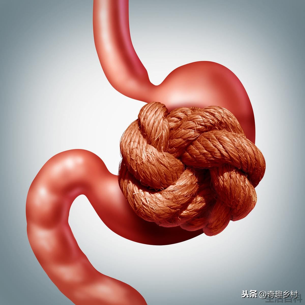 消化不良吃什么水果好