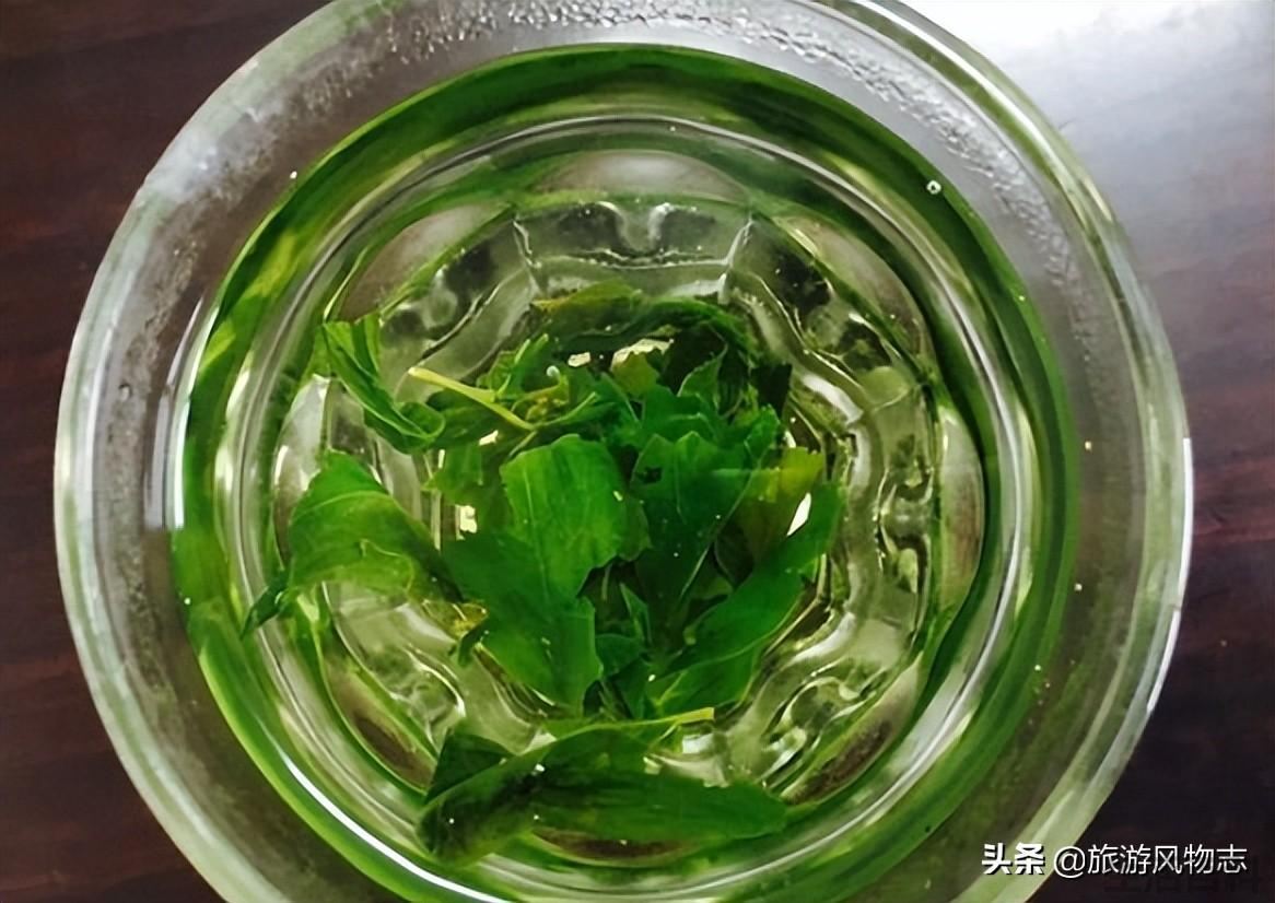 江西产什么茶