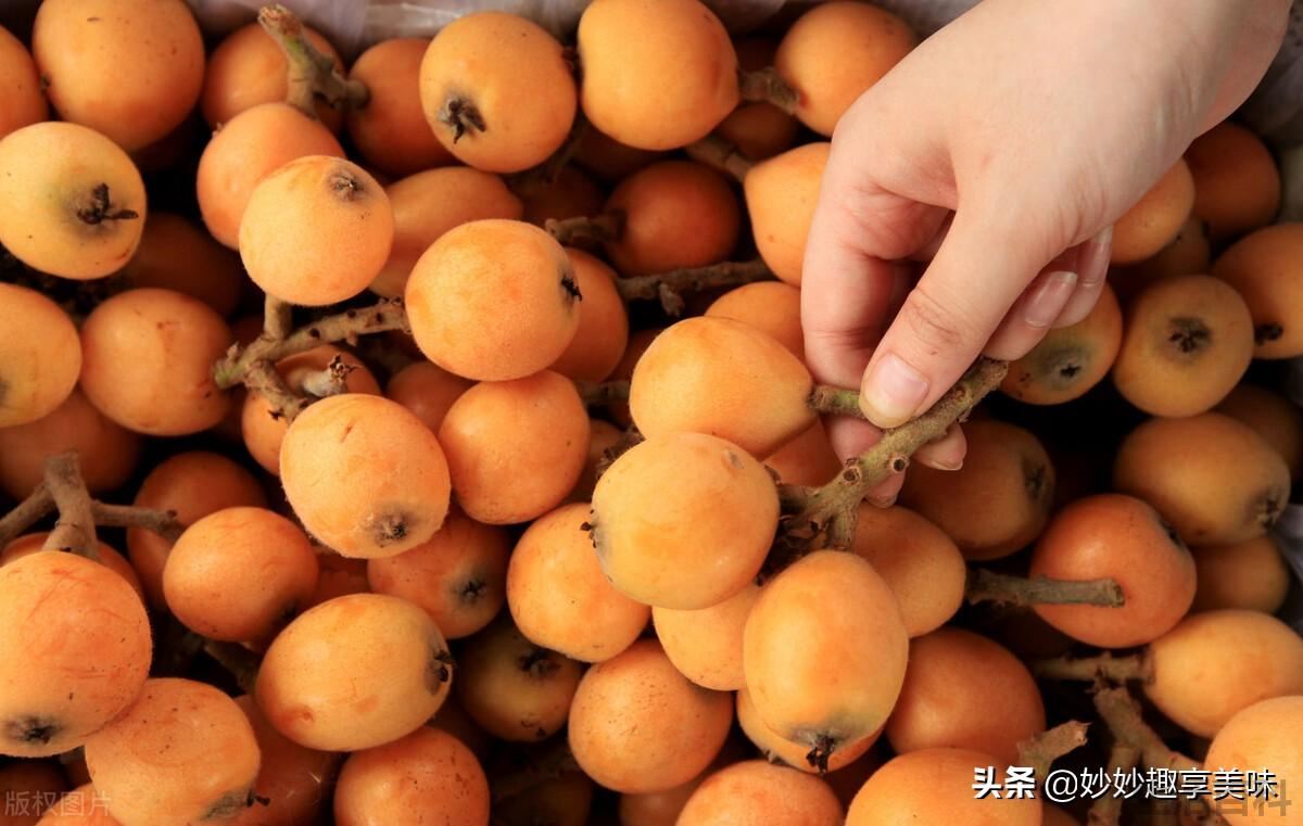 春天有哪些水果