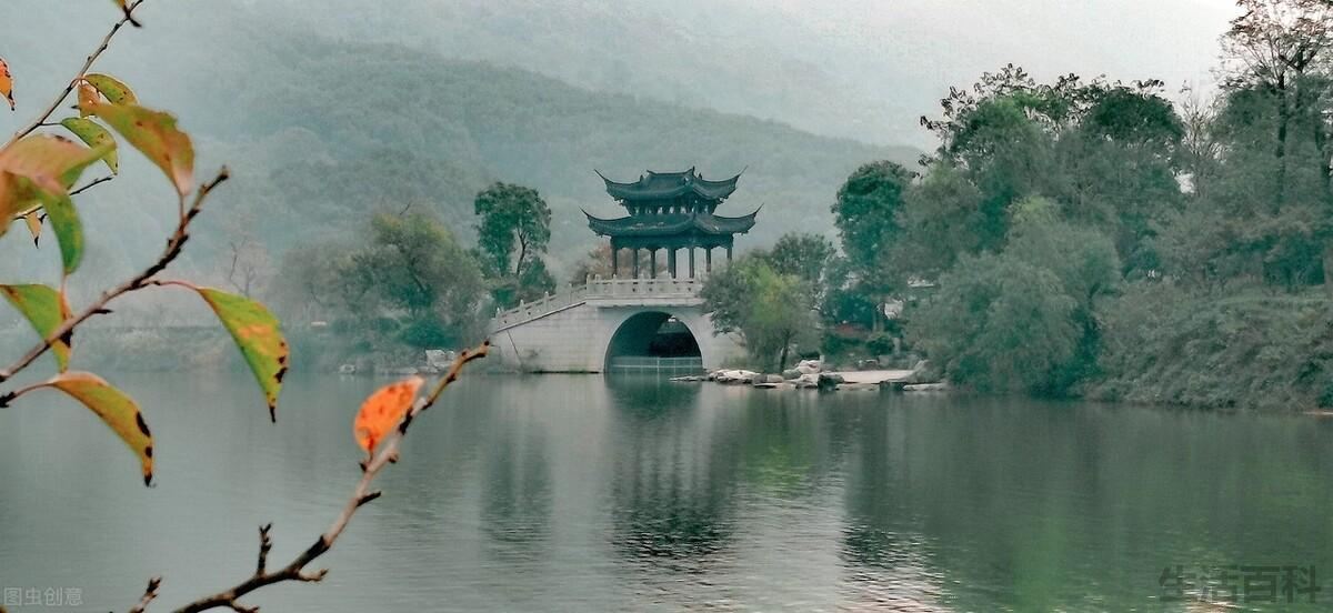 碧螺春是什么茶