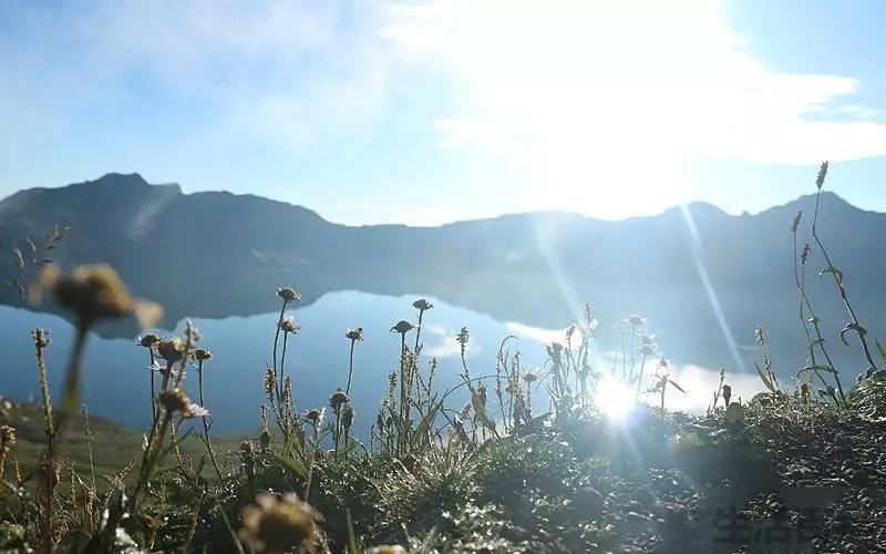 李时珍的事迹