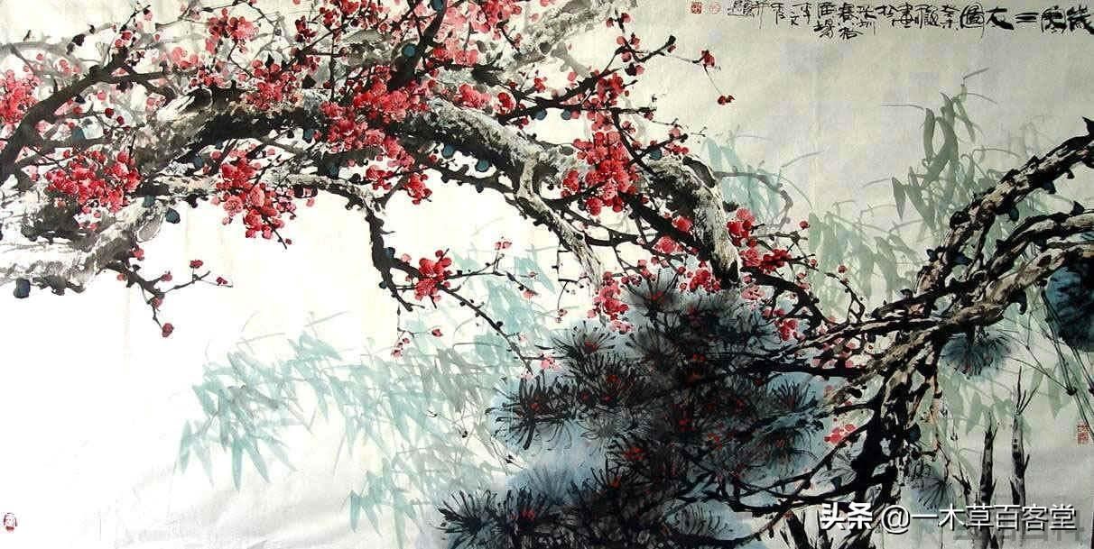 岁寒三友是指的是