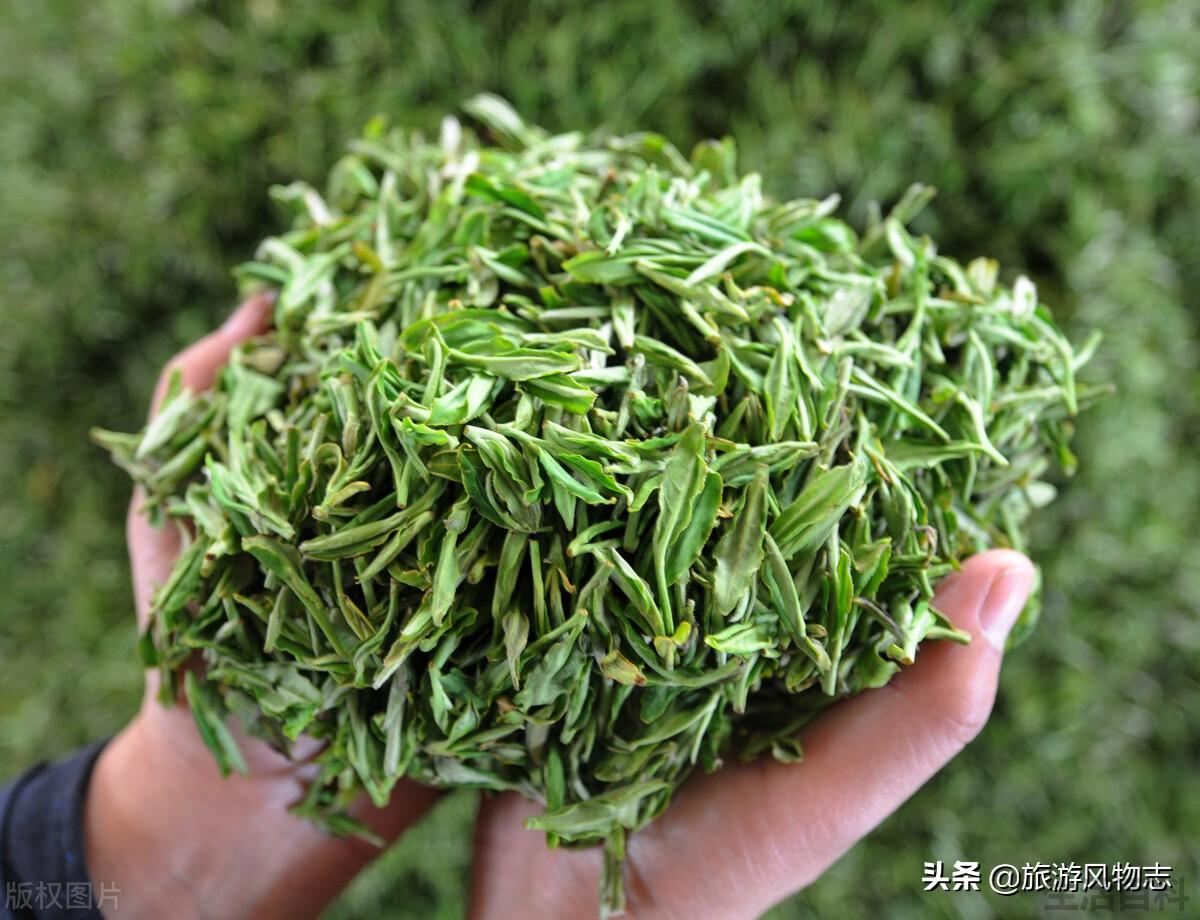 江西产什么茶