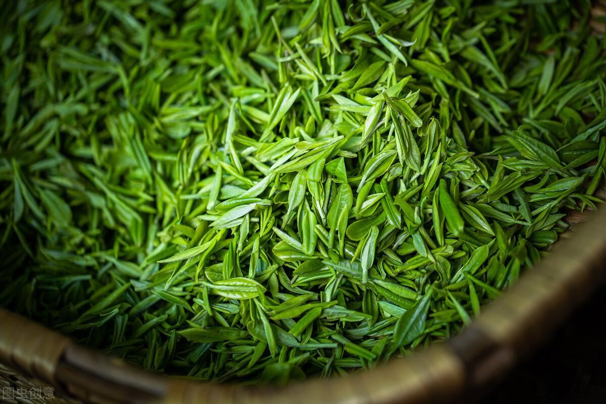 碧螺春是什么茶