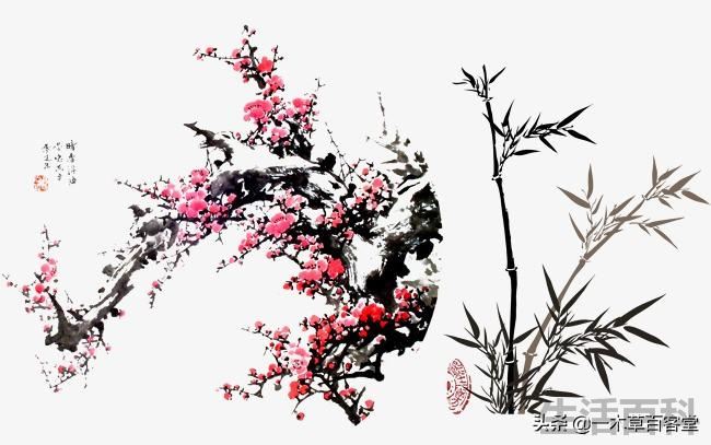 岁寒三友是指的是