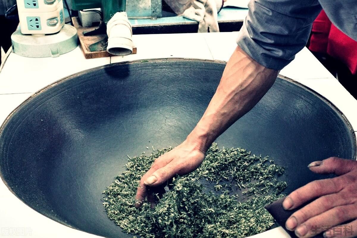 碧螺春是什么茶