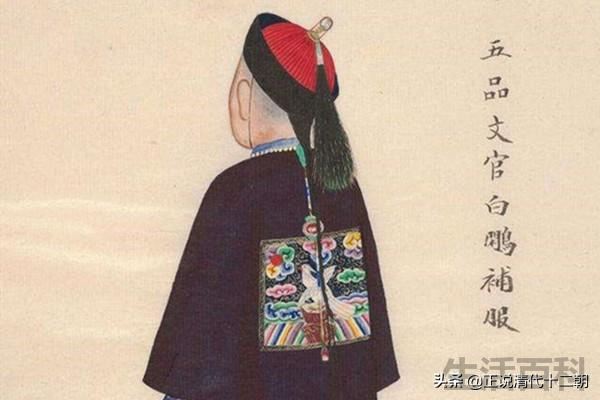 清朝官员品级排位