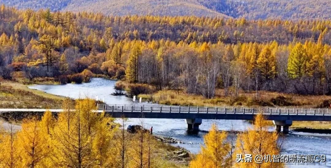 大兴安岭狗熊岭真实图片