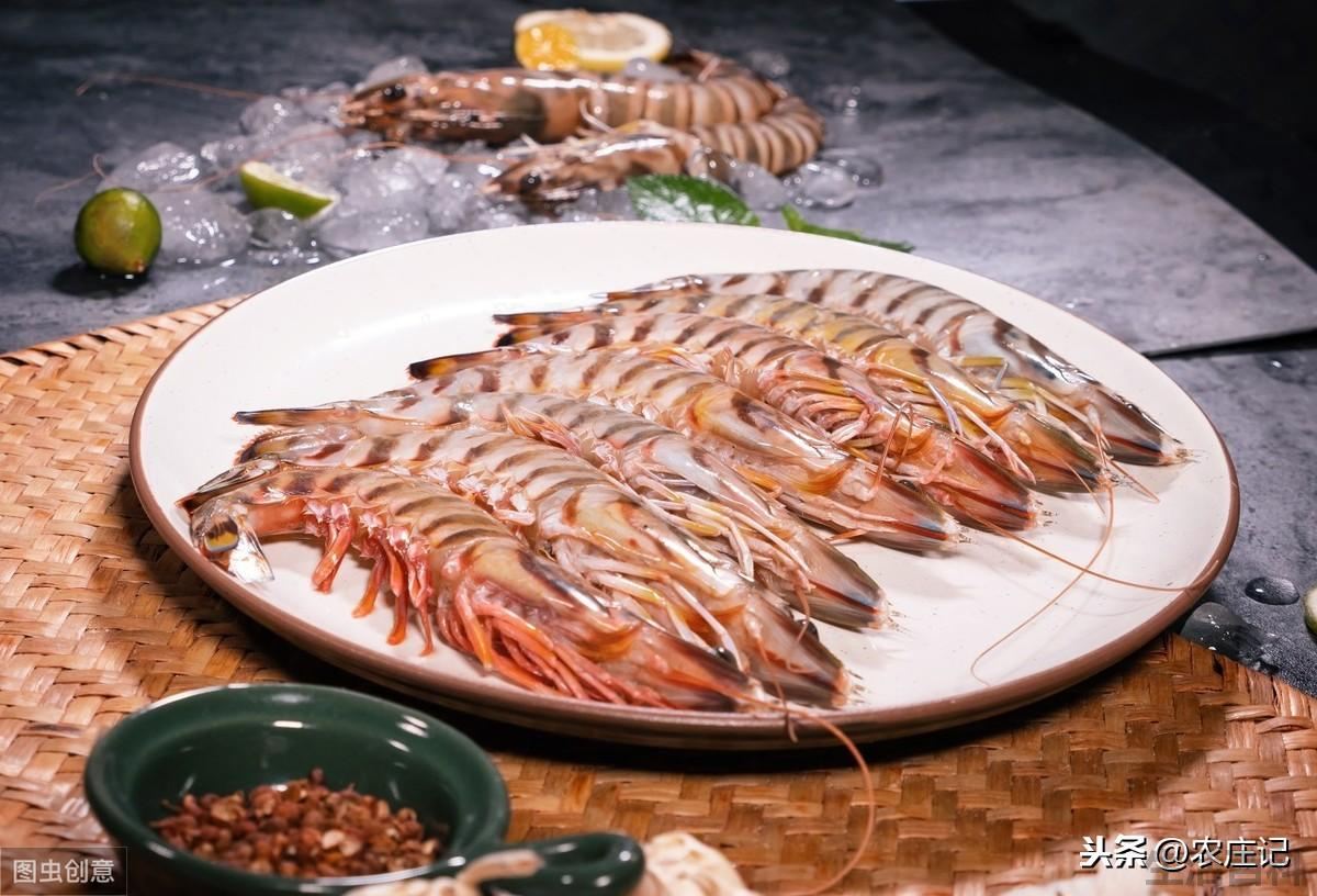 竹节虾要怎么养殖