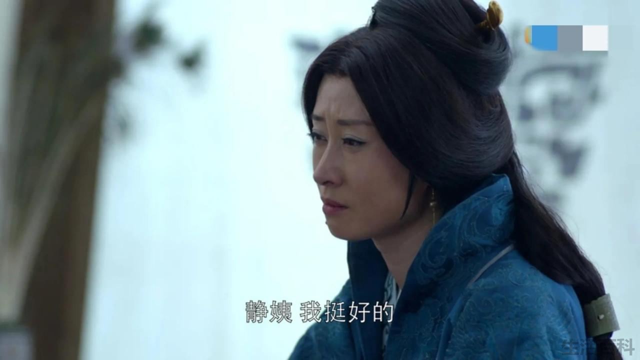高湛认出林殊了吗