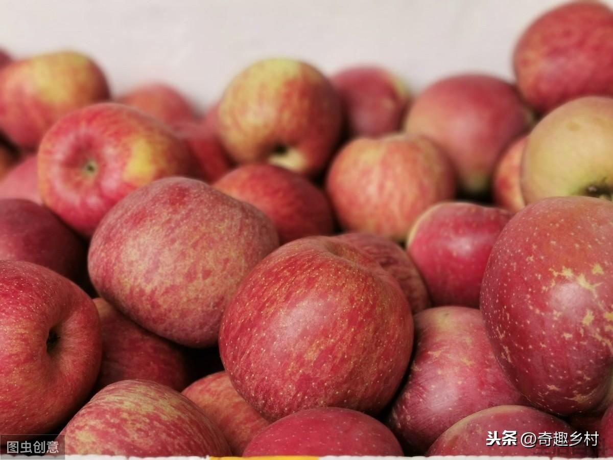 冬天有哪些水果
