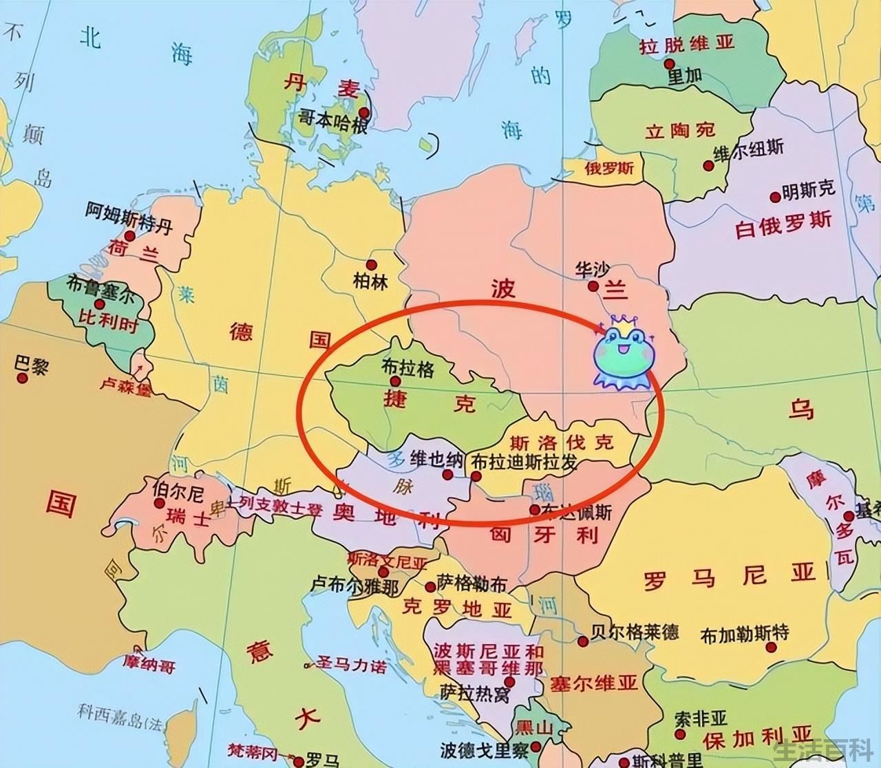 第一次世界大战的起因和结果