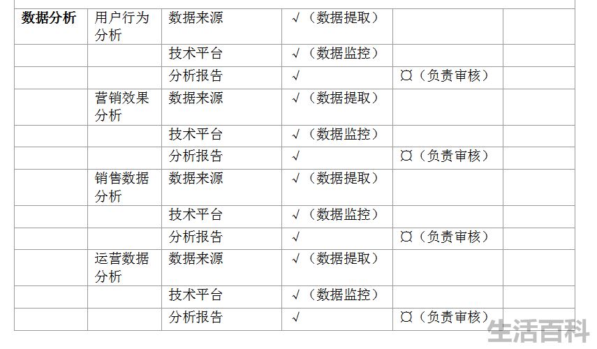 电商策划运营方案模板