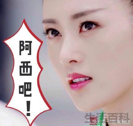 阿西吧是什么意思
