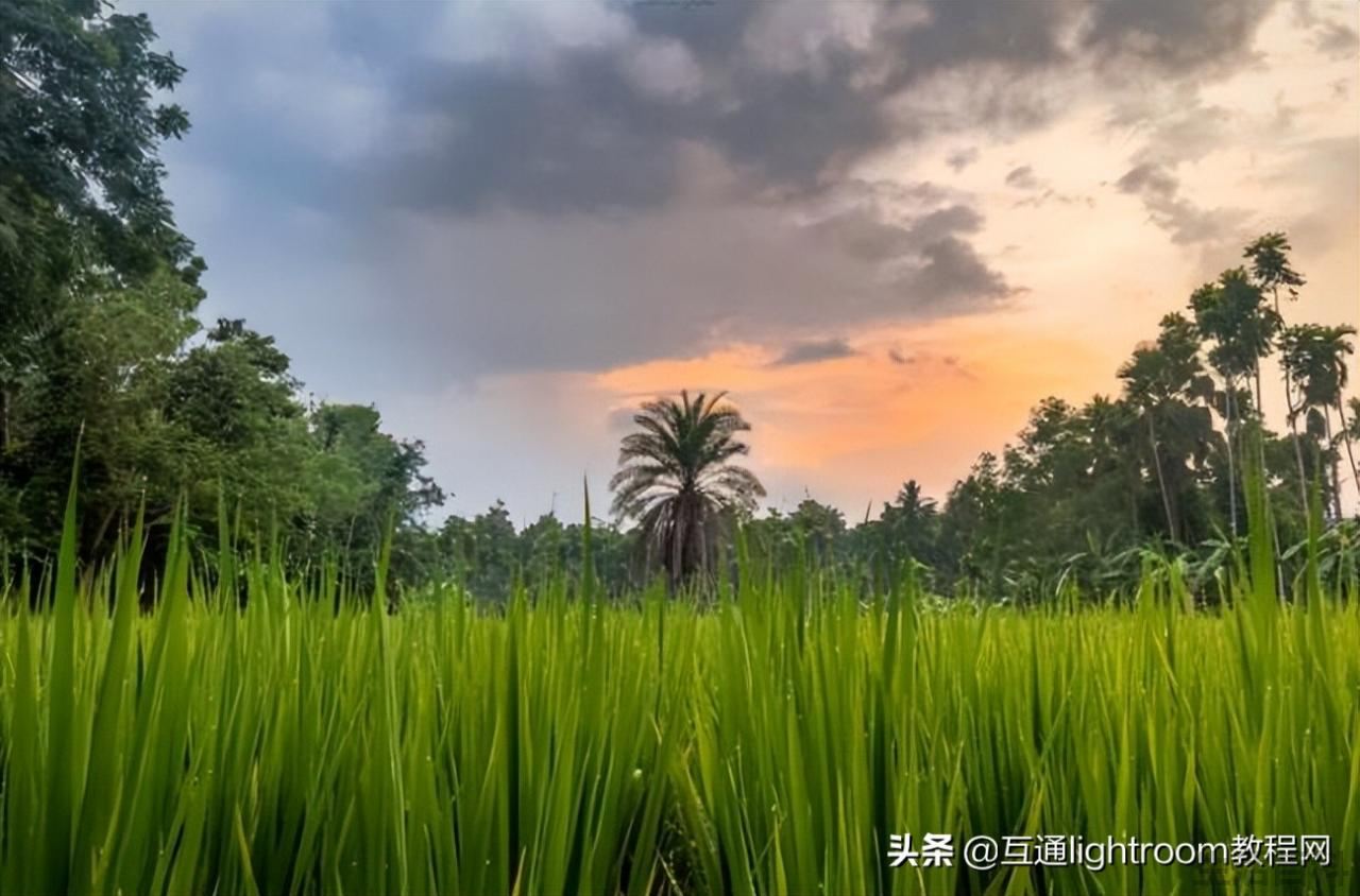 8个广角镜头拍摄技巧