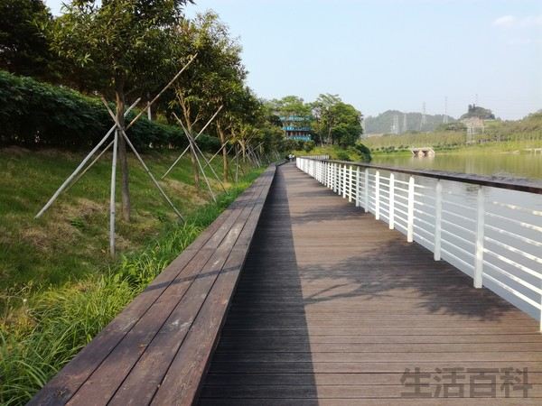 荣耀畅玩5C上市价格
