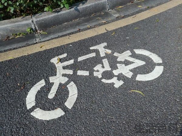 荣耀畅玩5C上市价格