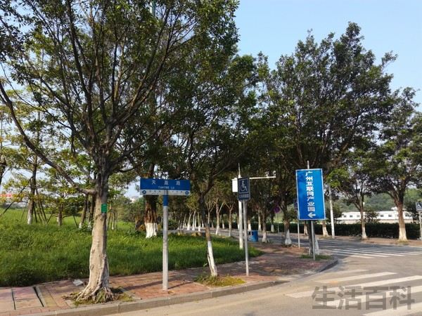 荣耀畅玩5C上市价格