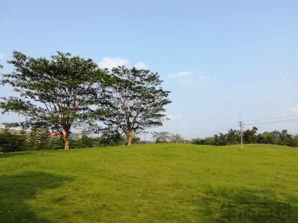荣耀畅玩5C上市价格