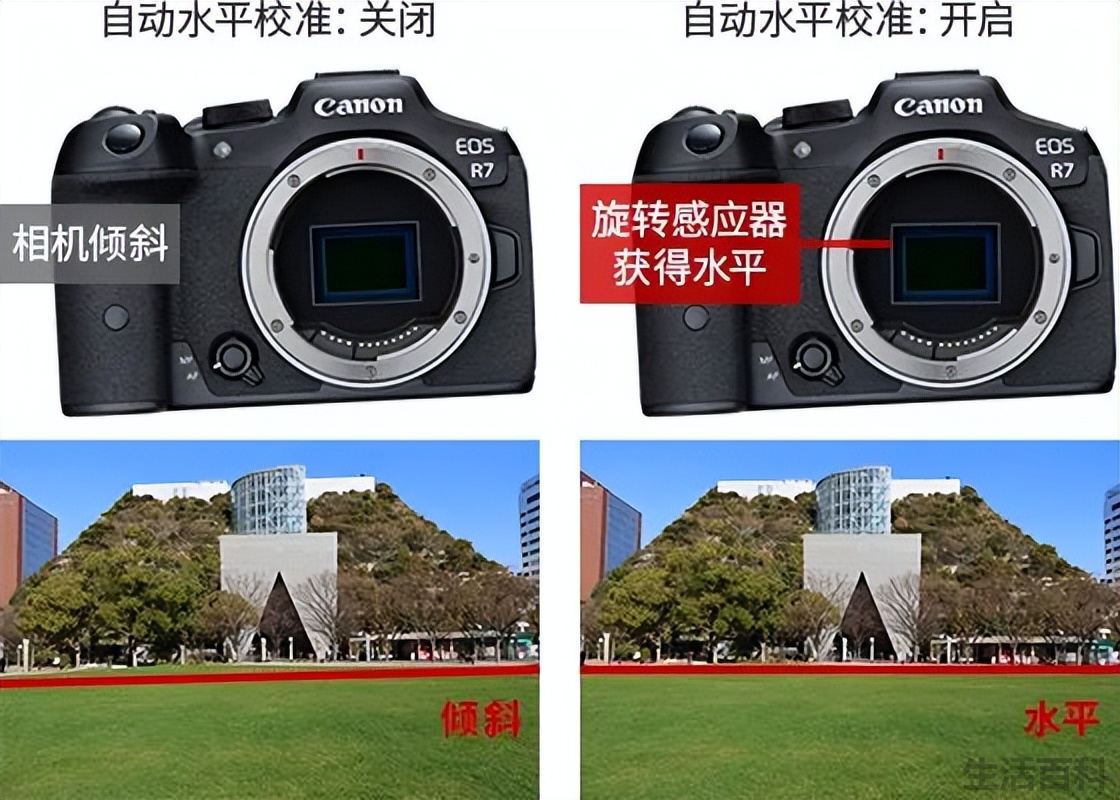 青春专微相机EOS R7测评