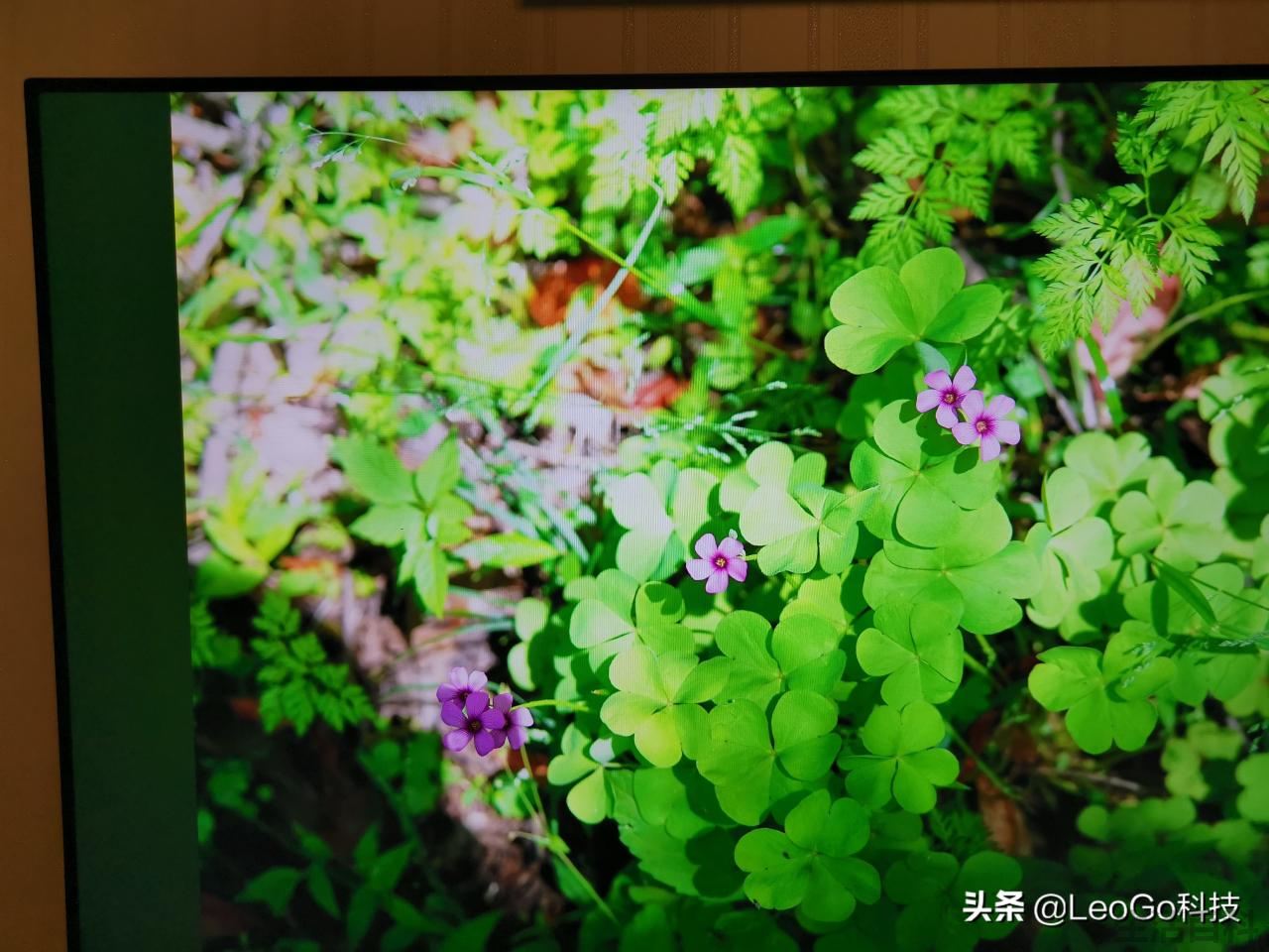 华为智慧屏V55i有蓝牙吗