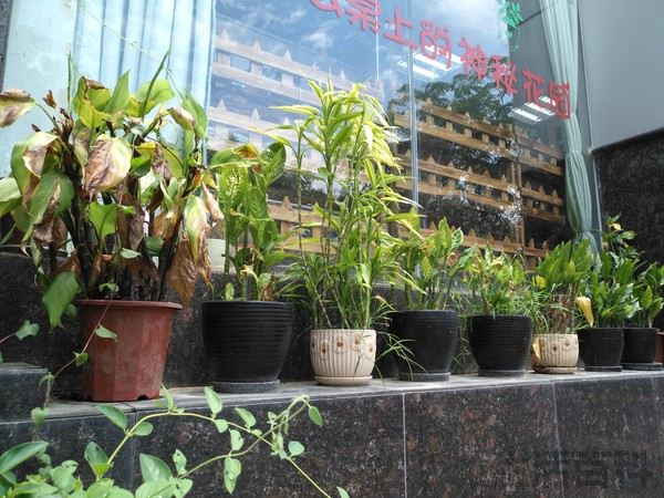 华为麦芒5详细参数