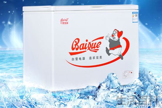 白雪冰柜报价图片大全