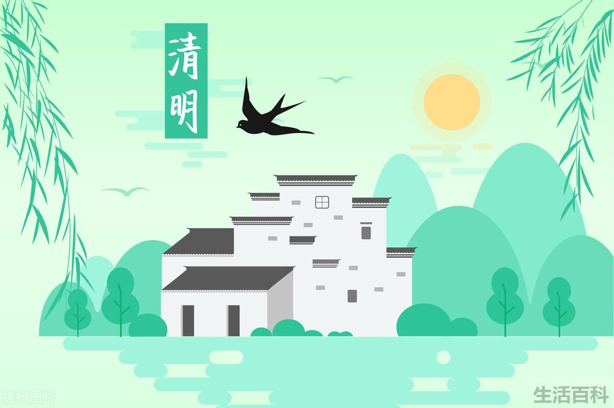 清明扫墓用什么花