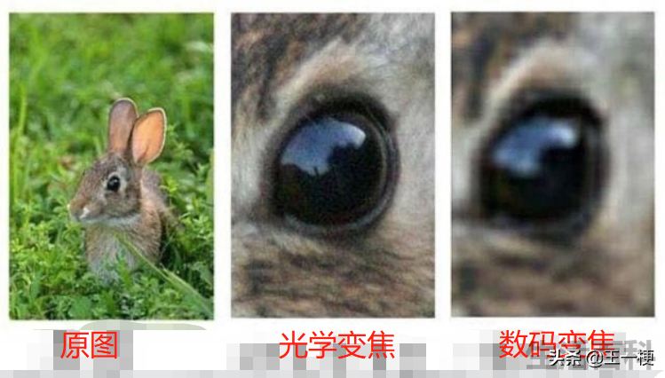 光学变焦数码变焦