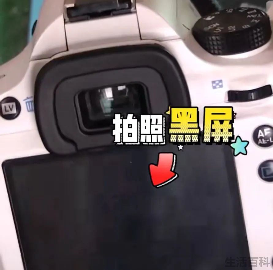 宾得相机维修点查询