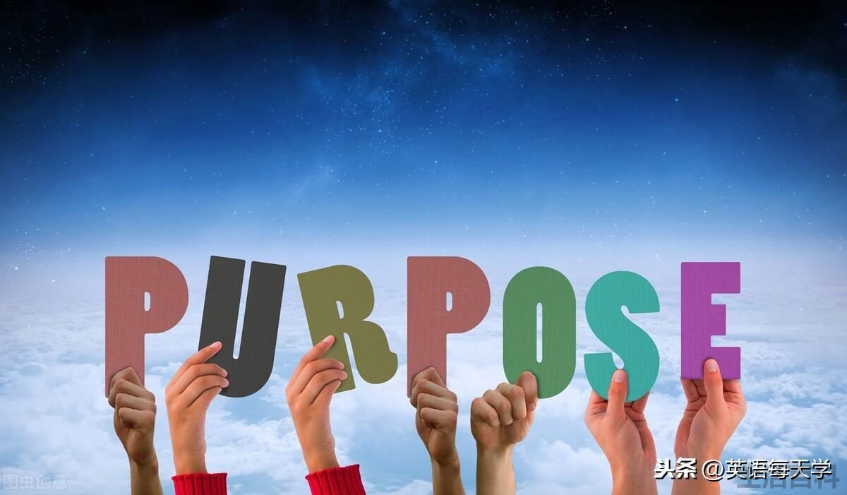purpose是什么意思中文