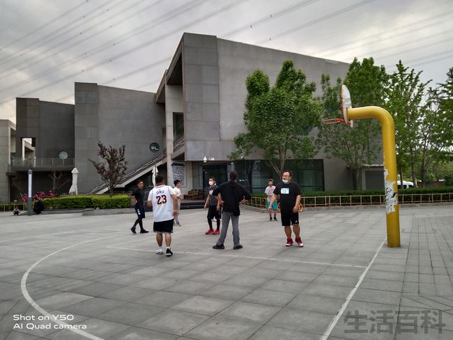 vivo Y50手机是什么档次