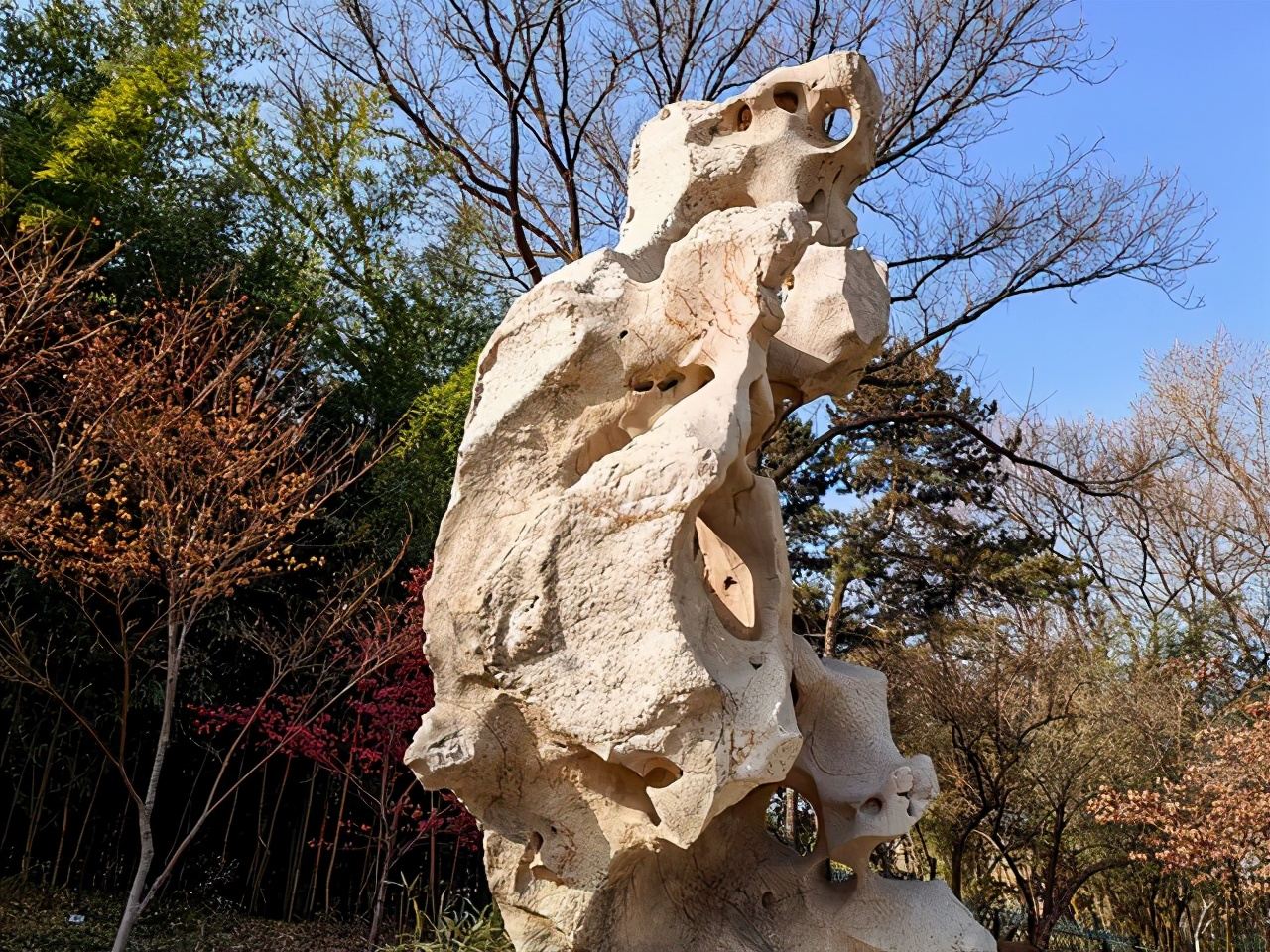 3599元起荣耀V40手机