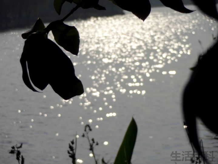 SONY QX10赏测