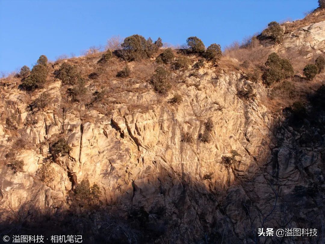 PowerShot Pro1相机发售价格