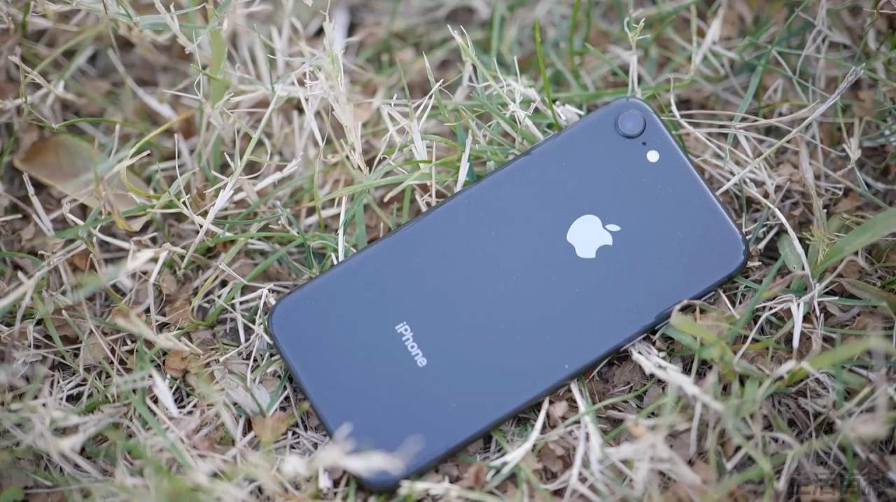 4年前的性能小钢炮iphone8