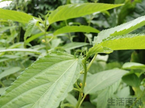 360Q5 Plus行政版安全性能体验