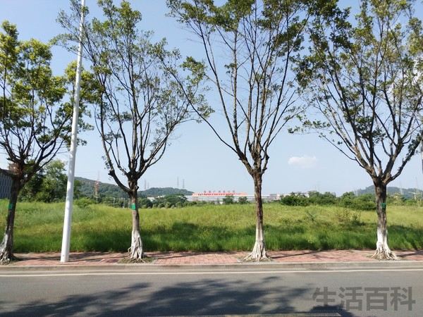 360Q5 Plus行政版安全性能体验