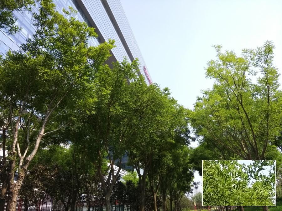酷玩6手机详细性能参数配置