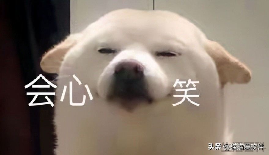 常用办公软件有哪几个