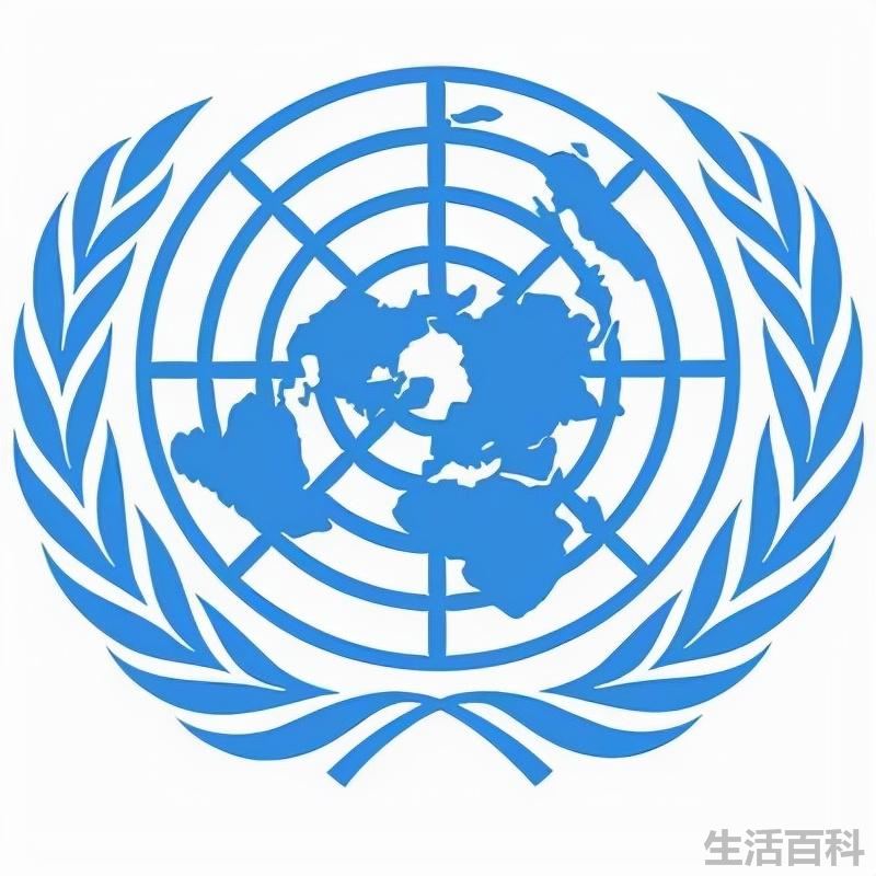 常见的国际组织有哪些